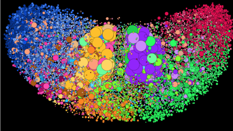 Twitter’s Isolated Bubbles vs. America’s Nuanced Political Reality
