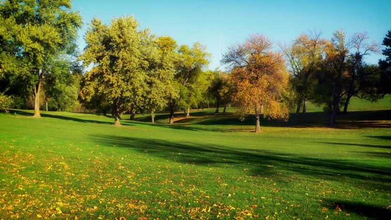 New Parks and Recreation Director Faces Ambitious Department