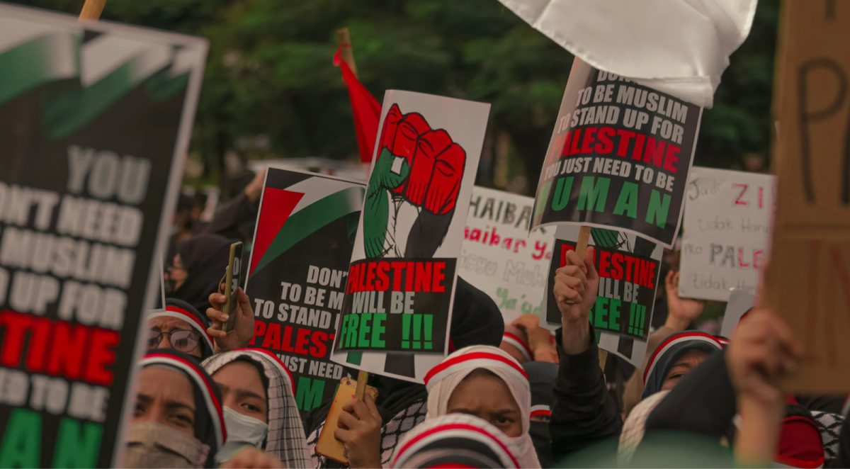 Marchers protest in solidarity with Palestine