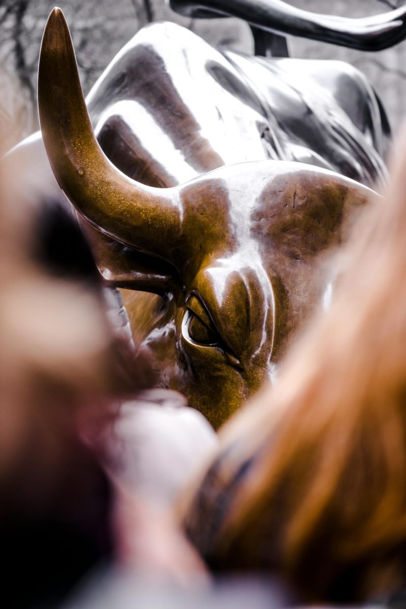 Photo by Redd F on Unsplash
“Charging Bull” Sculpture on Wall Street
