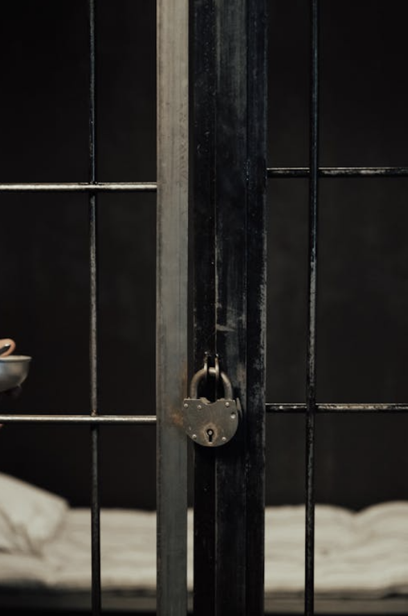 Image by Ron Lach from Pexels